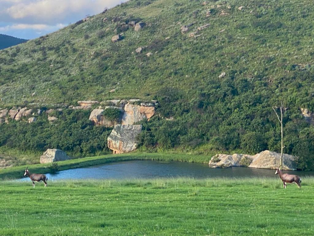 Wetlands Game Lodge Wakkerstroom 外观 照片