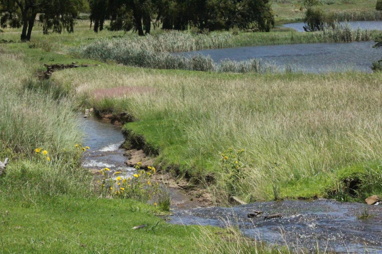 Wetlands Game Lodge Wakkerstroom 外观 照片
