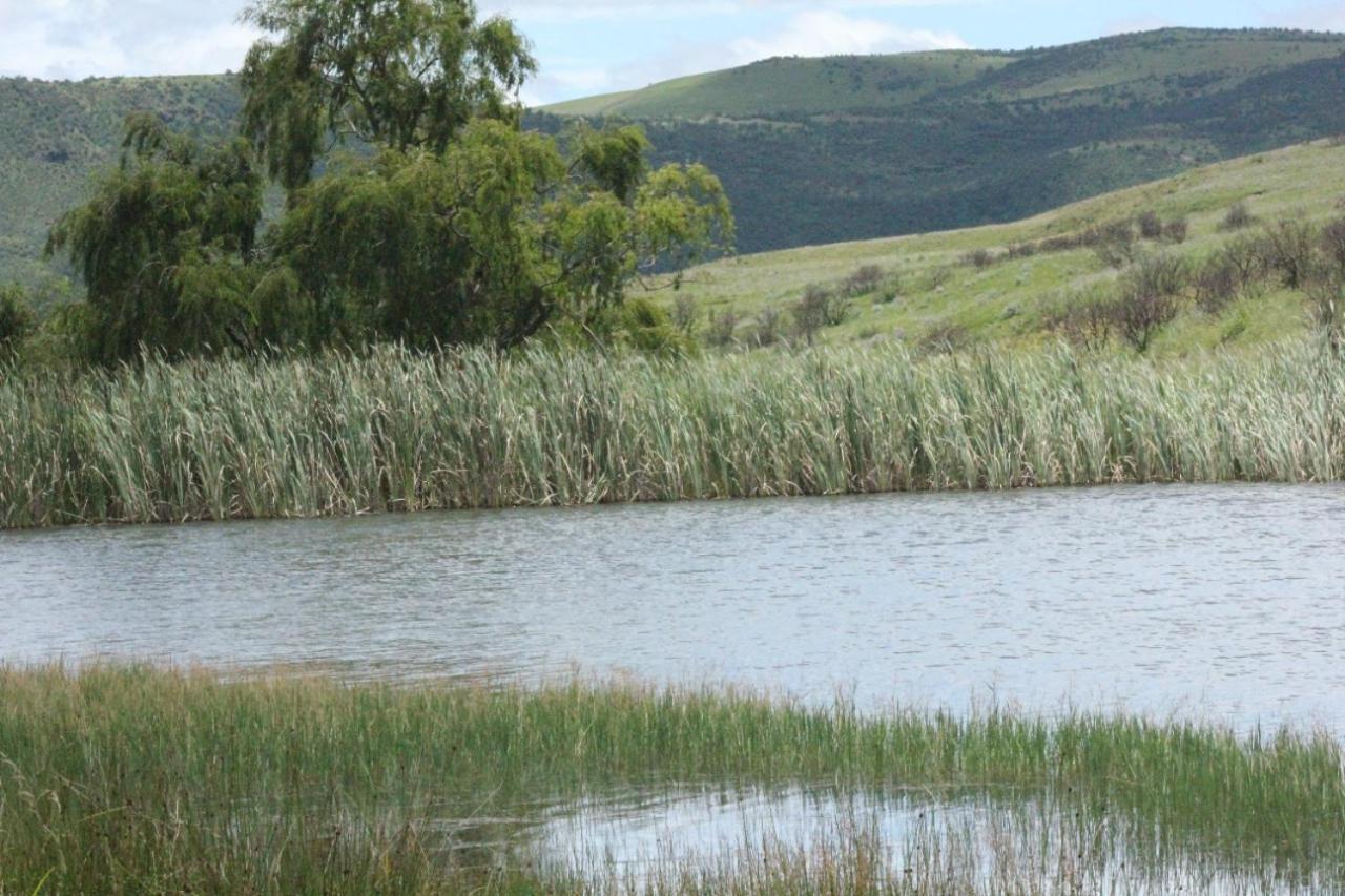 Wetlands Game Lodge Wakkerstroom 外观 照片